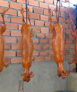 Thỏ Làm Sạch Nguyên Con